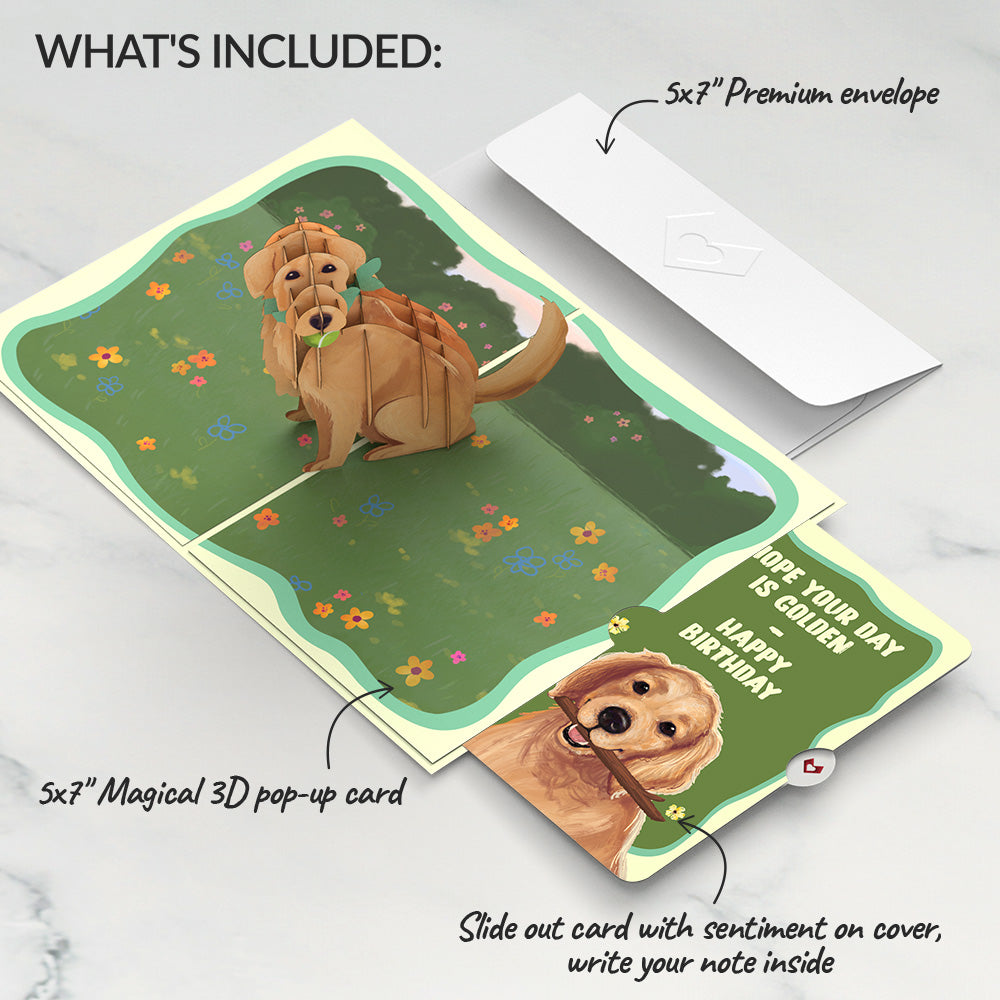 Playful Golden Retriever Birthday Pop-Up Card and Sentiment Set