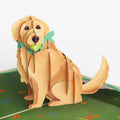 Playful Golden Retriever Birthday Pop-Up Card and Sentiment Set
