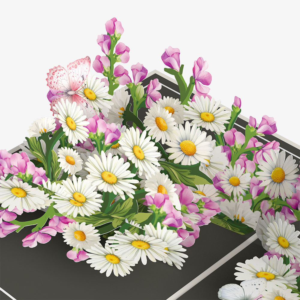 Born to Bloom: April Birth Month Flowers Thank You Pop-Up Card and Sentiment Set