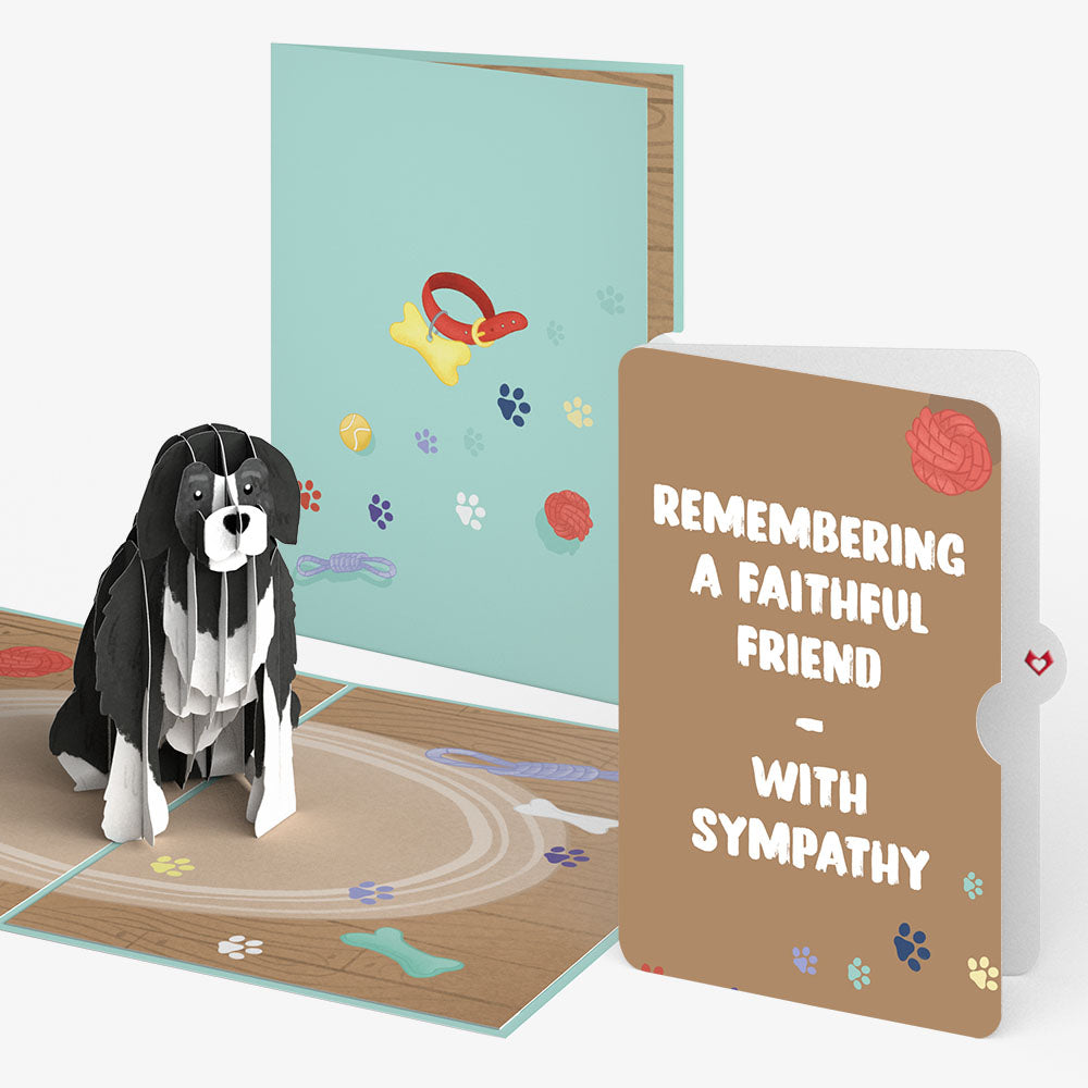 Playful Dog Sympathy Pop-Up Card and Sentiment Set