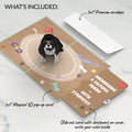 Playful Dog Sympathy Pop-Up Card and Sentiment Set
