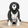 Playful Dog Sympathy Pop-Up Card and Sentiment Set