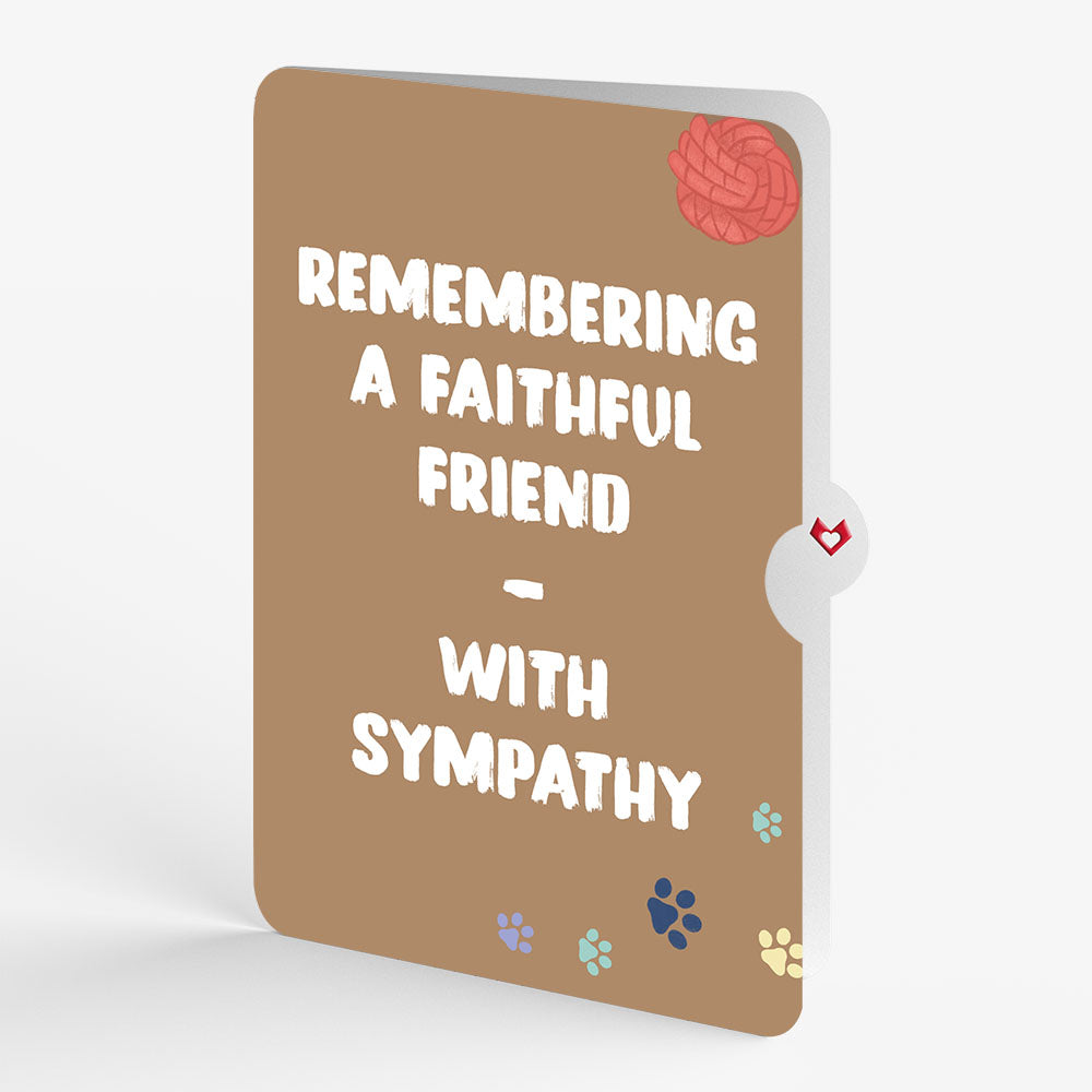 Playful Dog Sympathy Pop-Up Card and Sentiment Set