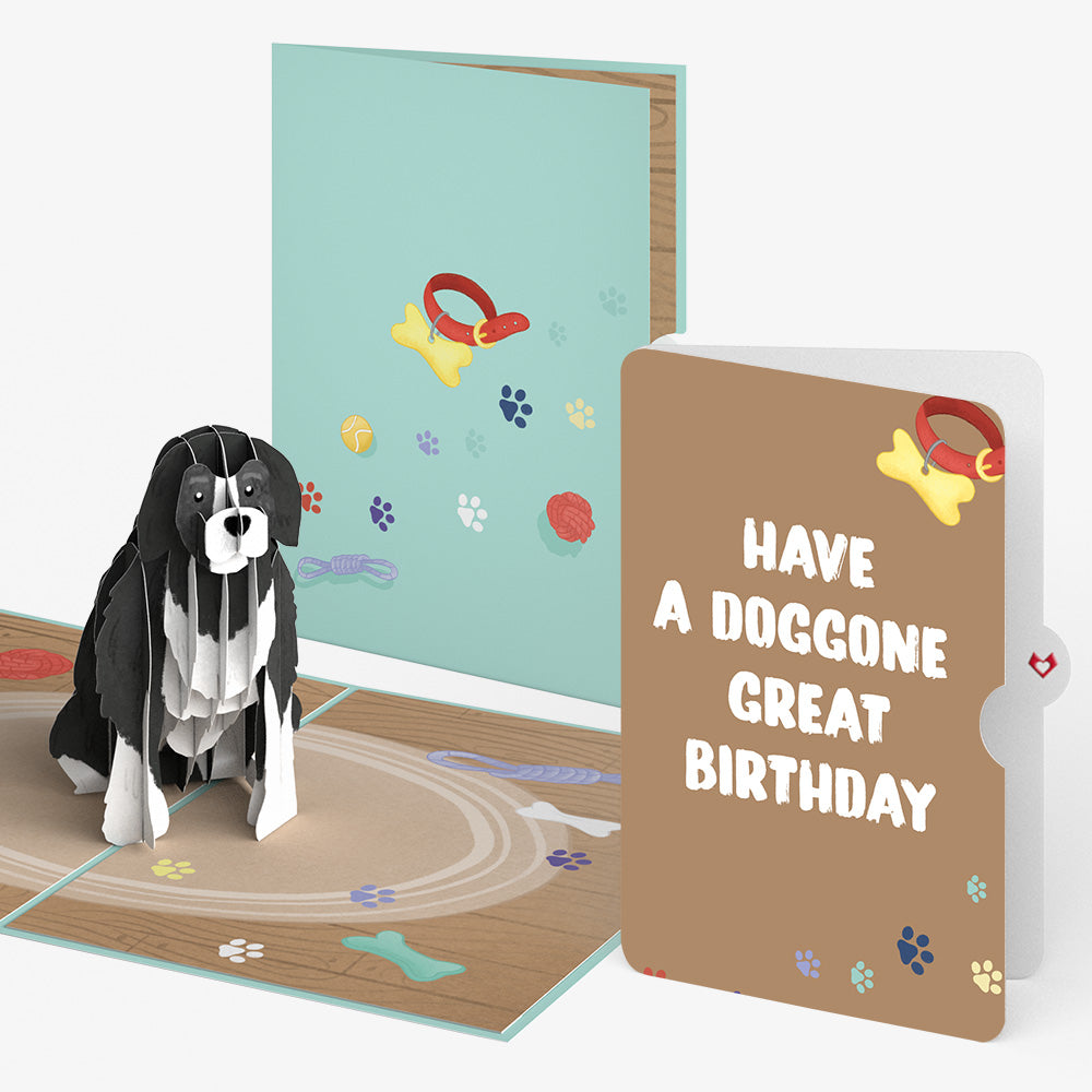 Playful Dog Birthday Pop-Up Card and Sentiment Set