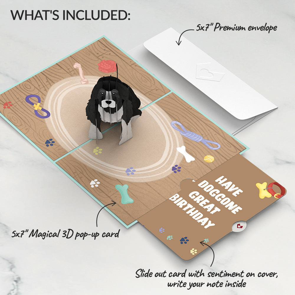Playful Dog Birthday Pop-Up Card and Sentiment Set