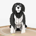 Playful Dog Birthday Pop-Up Card and Sentiment Set