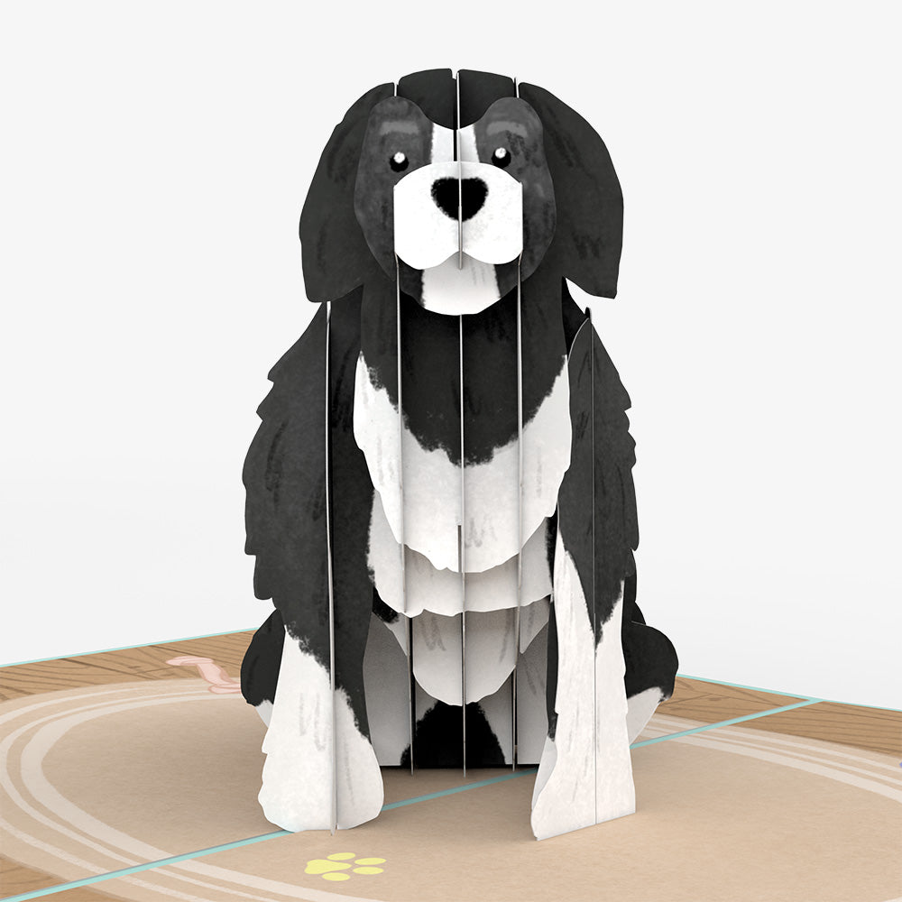 Playful Dog Birthday Pop-Up Card and Sentiment Set