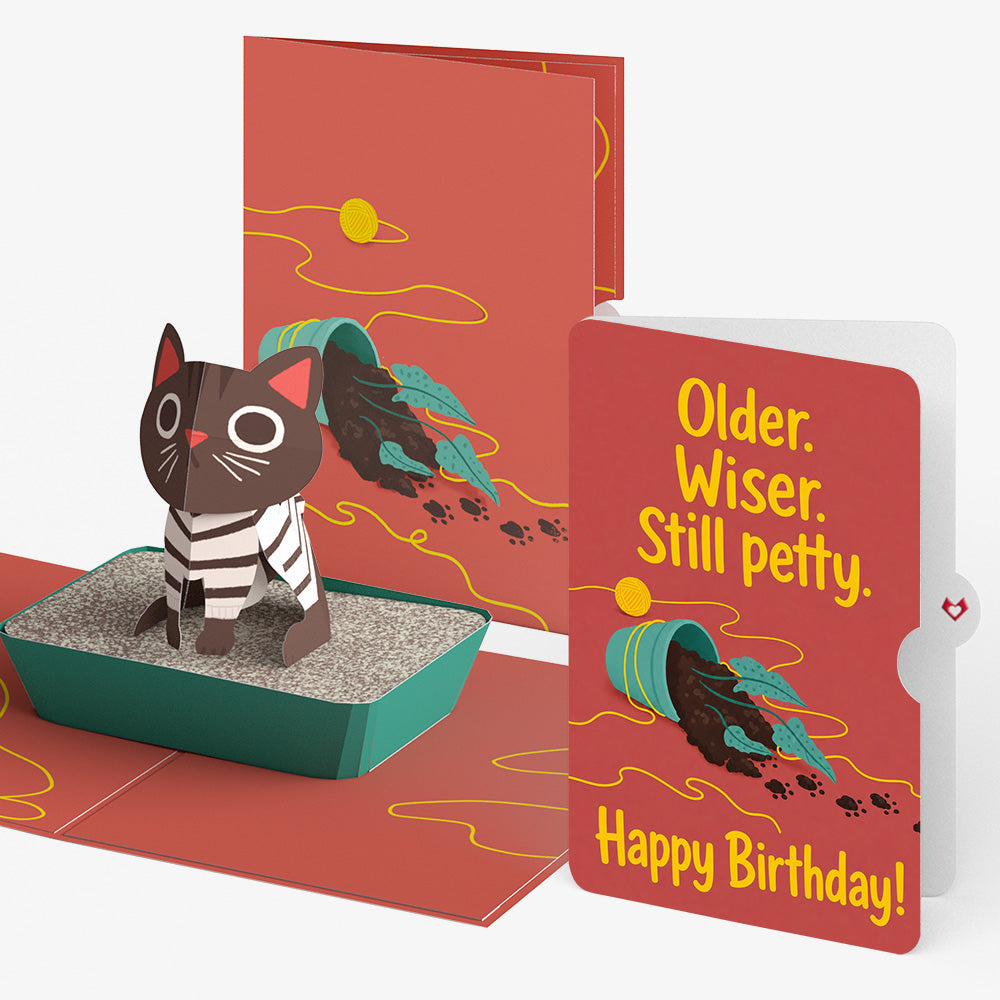 Mischievous Cat Birthday Pop-Up Card and Still Petty Sentiment Set
