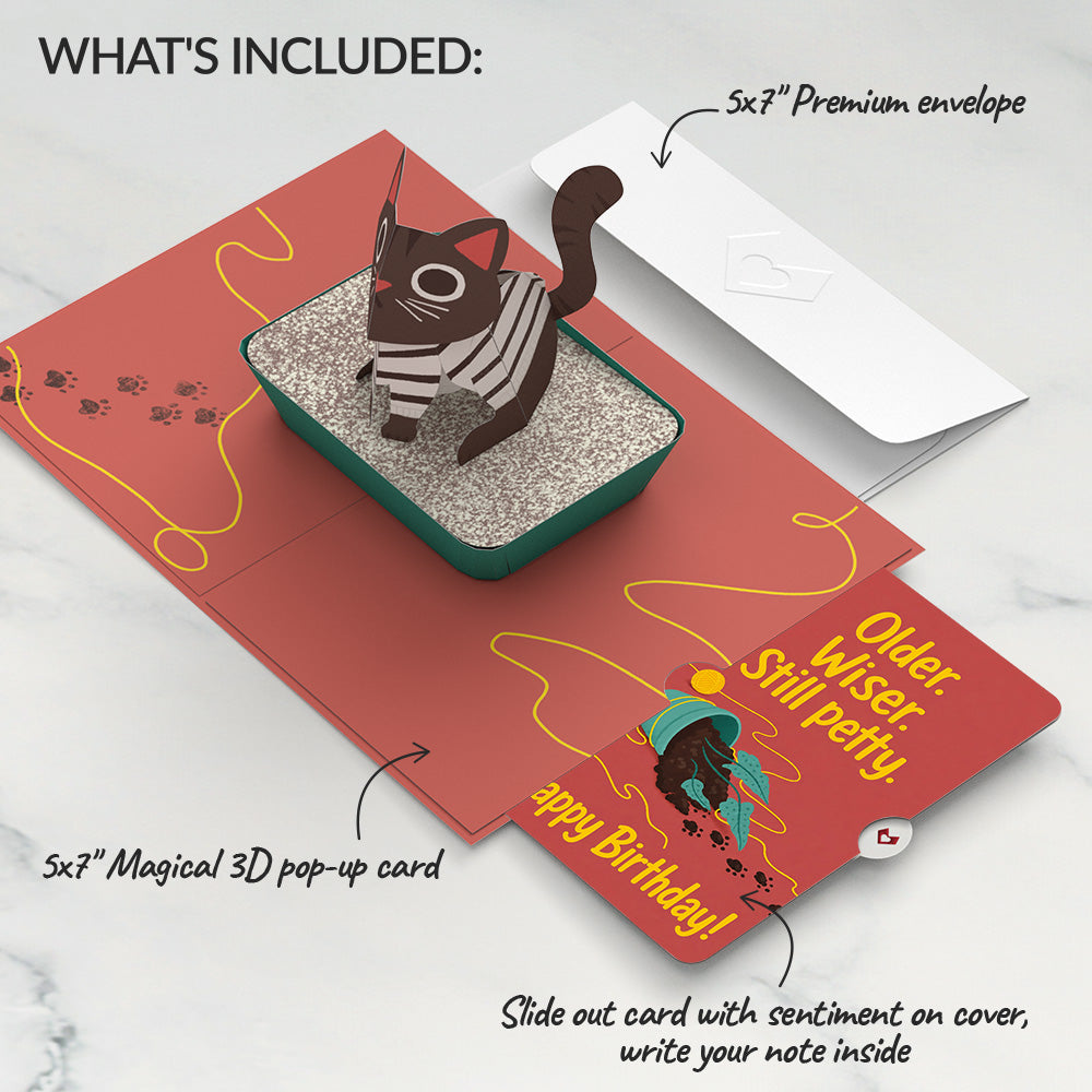 Mischievous Cat Birthday Pop-Up Card and Still Petty Sentiment Set