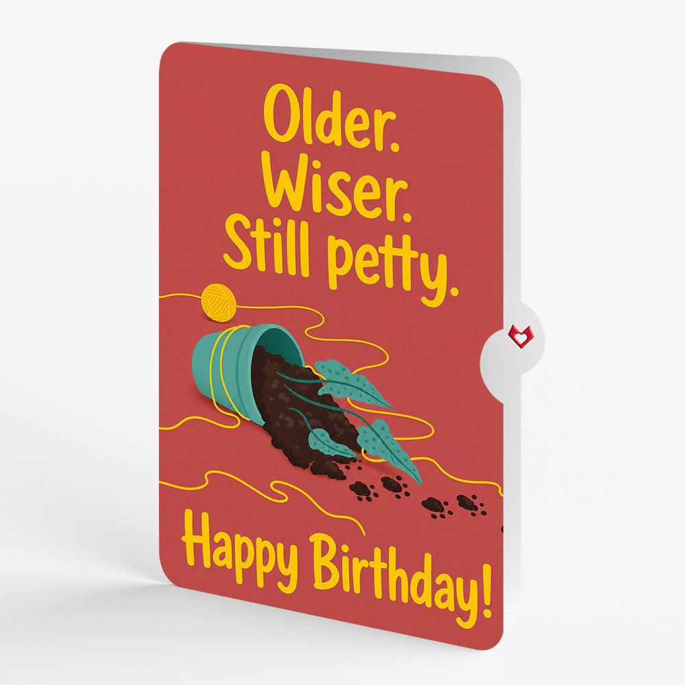 Mischievous Cat Birthday Pop-Up Card and Still Petty Sentiment Set