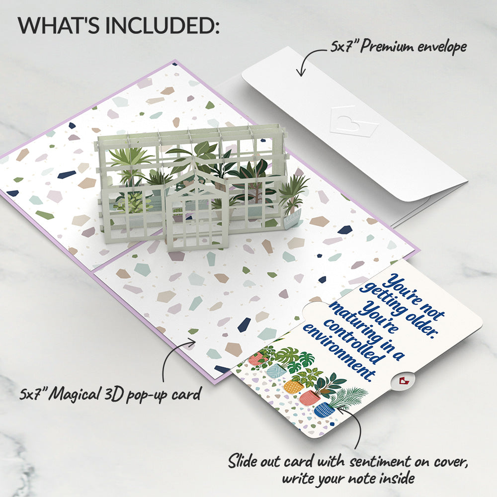 Greenhouse Garden Birthday Pop-Up Card and Controlled Plants Sentiment Set