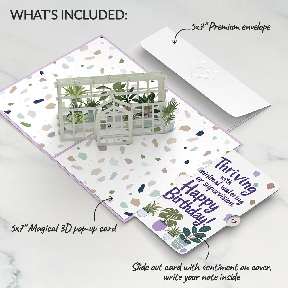 Greenhouse Garden Birthday Pop-Up Card and Thriving Plants Sentiment Set