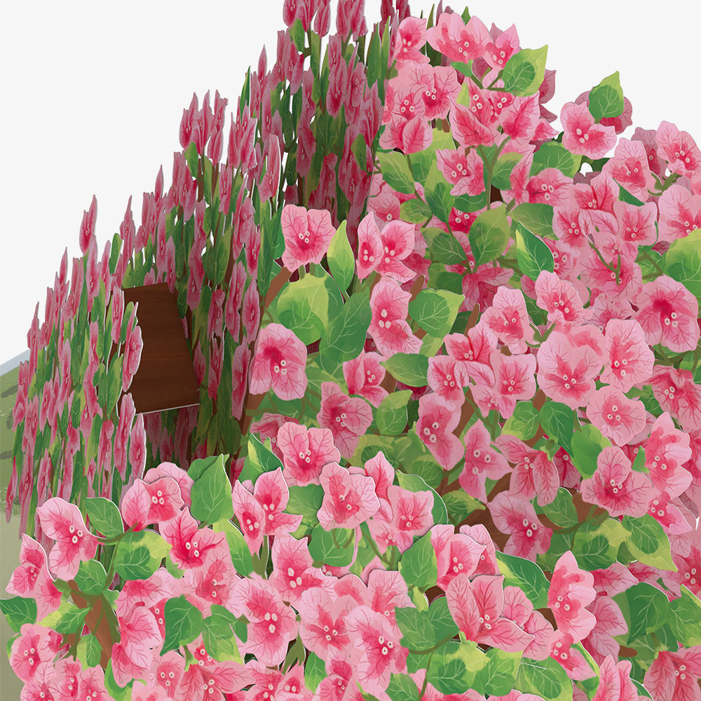 Bougainvillea Garden Birthday Pop-Up Card and Suburban Life Sentiment Set