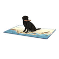 Black Lab Birthday Pop-Up Card and Food Motivated Sentiment Set