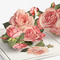 Roses in Bloom Birthday Pop-Up Card and Everyone's Aging Sentiment Set