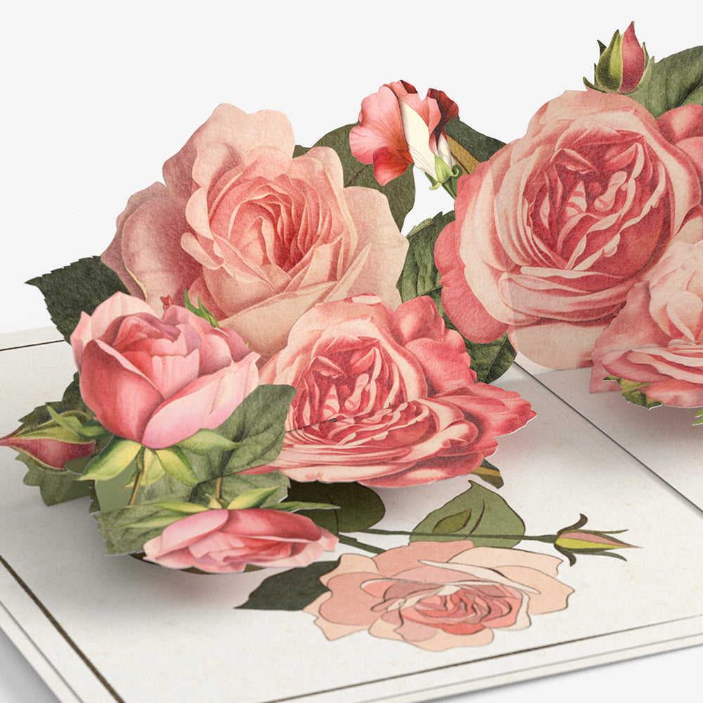 Roses in Bloom Birthday Pop-Up Card and Everyone's Aging Sentiment Set