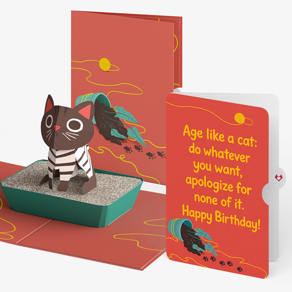 Mischievous Cat Birthday Pop-Up Card and Age Like a Cat Sentiment Set