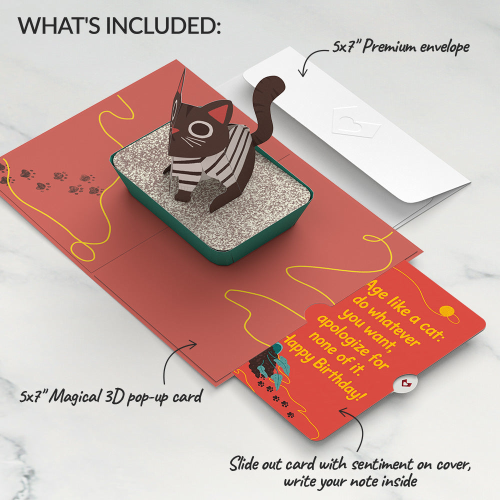 Mischievous Cat Birthday Pop-Up Card and Age Like a Cat Sentiment Set