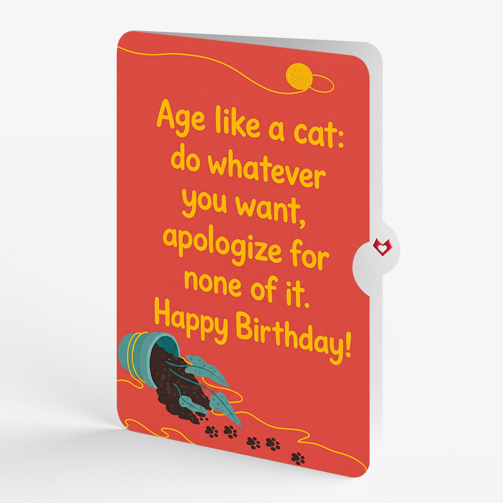 Mischievous Cat Birthday Pop-Up Card and Age Like a Cat Sentiment Set