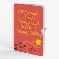 Mischievous Cat Birthday Pop-Up Card and Old Enough to Nap Sentiment Set