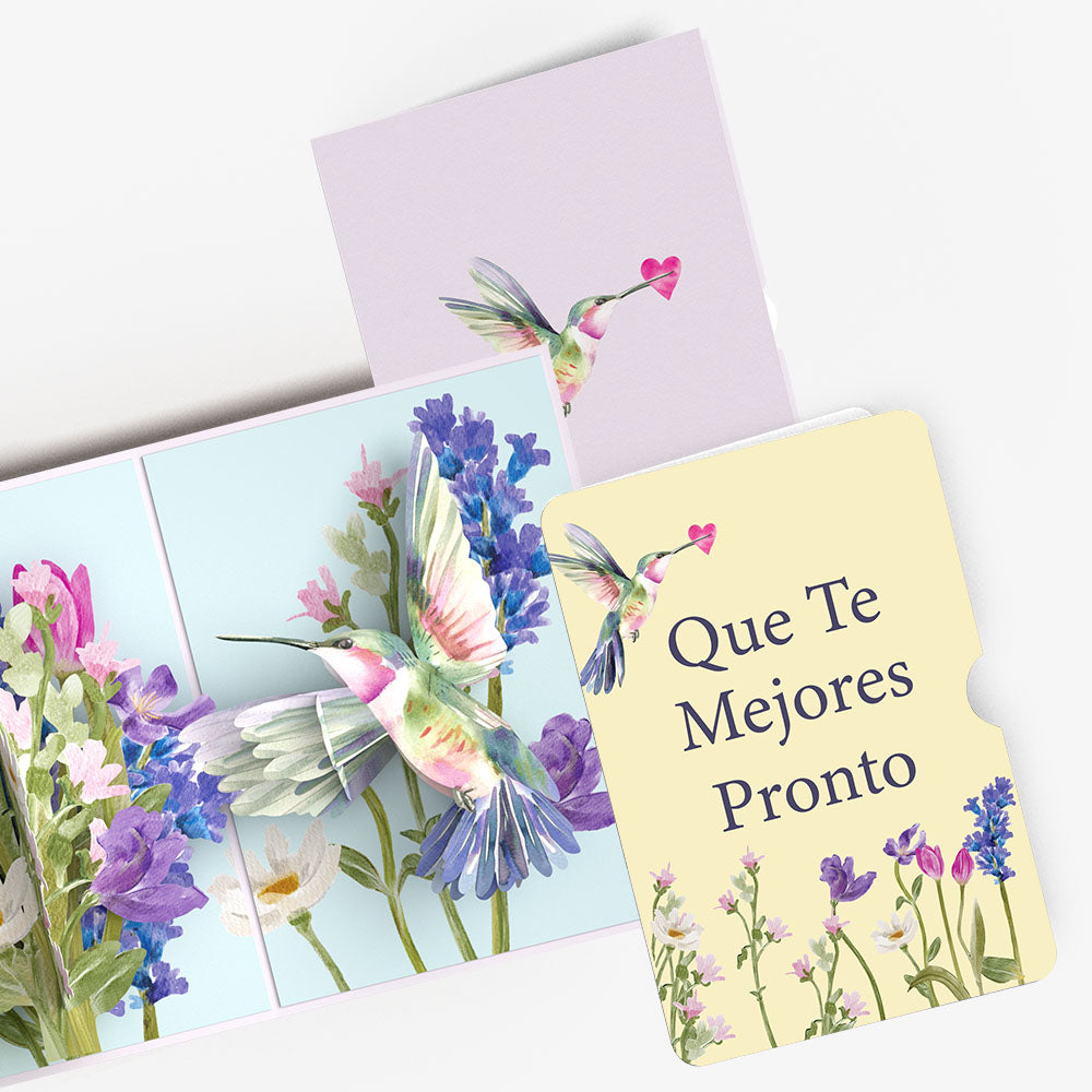 Love in Bloom Hummingbird Pop-Up Card and Spanish Get Well Sentiment Set