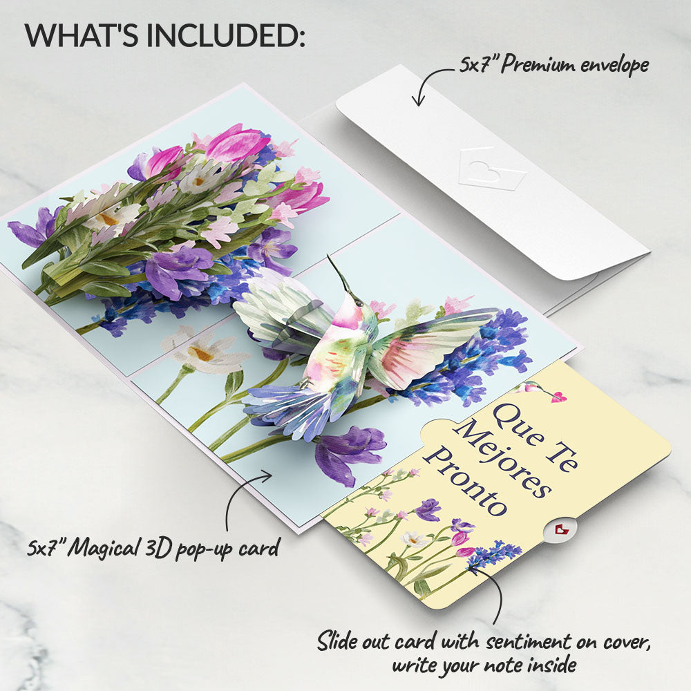 Love in Bloom Hummingbird Pop-Up Card and Spanish Get Well Sentiment Set