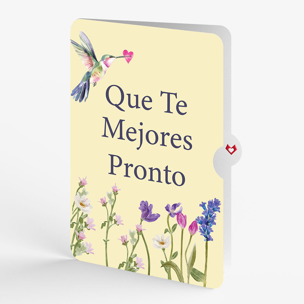 Love in Bloom Hummingbird Pop-Up Card and Spanish Get Well Sentiment Set