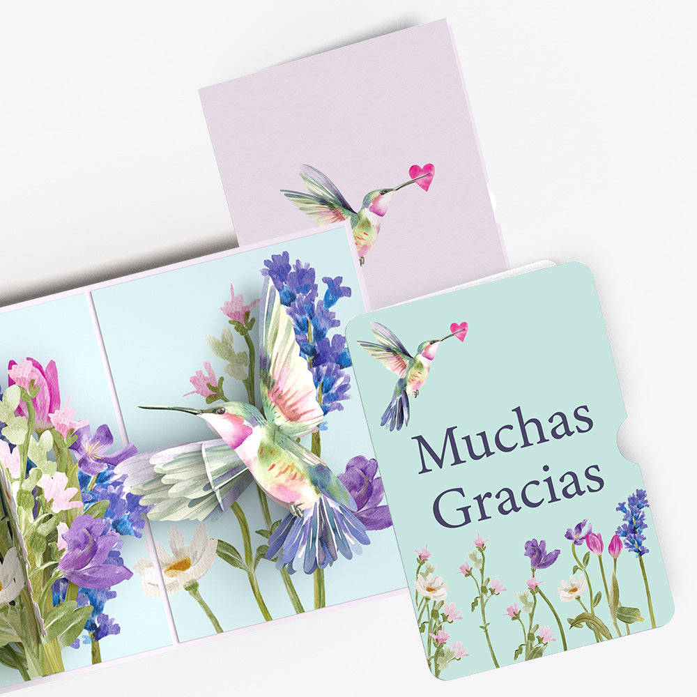 Love in Bloom Hummingbird Pop-Up Card and Spanish Thank You Sentiment Set
