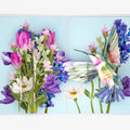 Love in Bloom Hummingbird Pop-Up Card and Spanish Thank You Sentiment Set