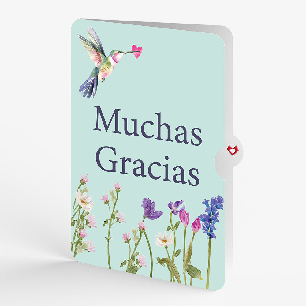 Love in Bloom Hummingbird Pop-Up Card and Spanish Thank You Sentiment Set