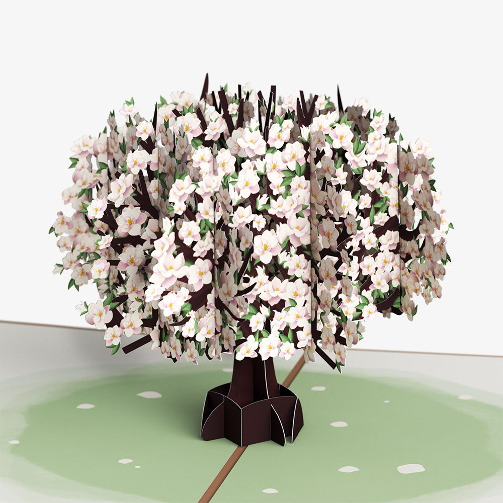 Pink Magnolia Tree Weddings Pop-Up Card and Spanish Lasting Love Sentiment Set