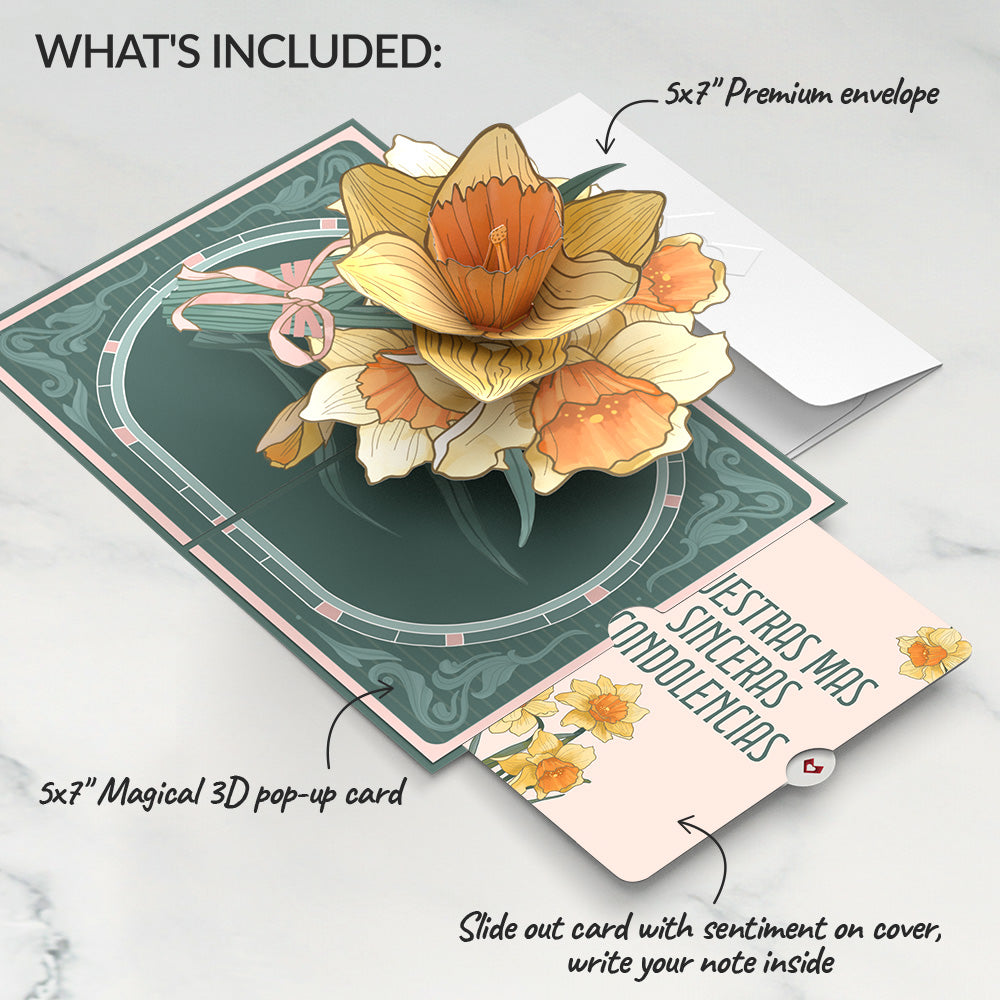 Daffodils in Bloom Pop-Up Card and Spanish Sympathy Sentiment Set