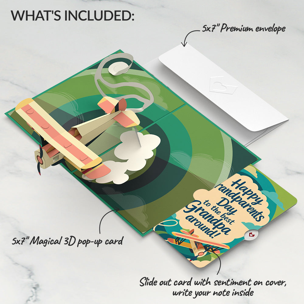 Vintage Plane Pop-Up Card and Grandparents Day Sentiment Set
