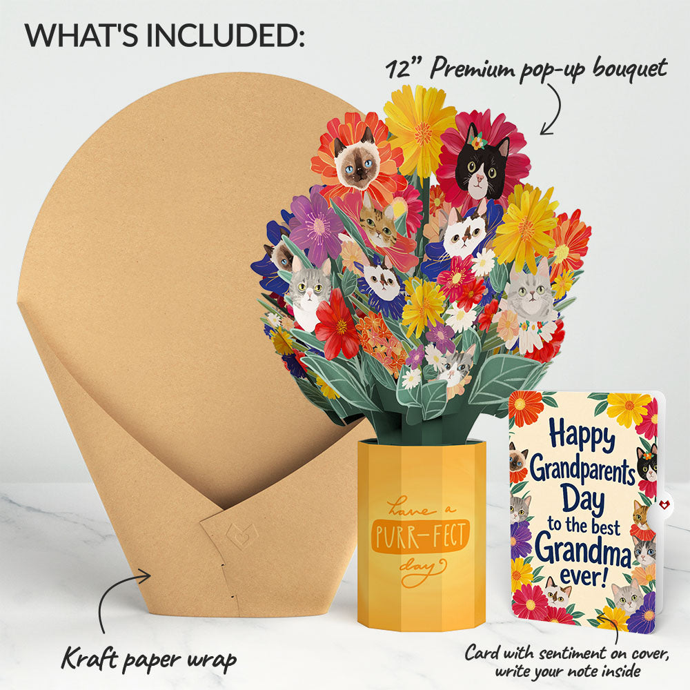 Purr-fect Cat Bouquet and Grandparents Day Sentiment Set