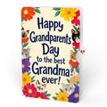Purr-fect Cat Bouquet and Grandparents Day Sentiment Set