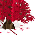 Japanese Maple Pop-Up Card and Grandparents Day Sentiment Set