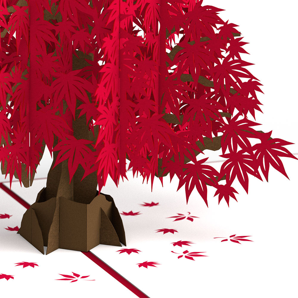 Japanese Maple Pop-Up Card and Grandparents Day Sentiment Set