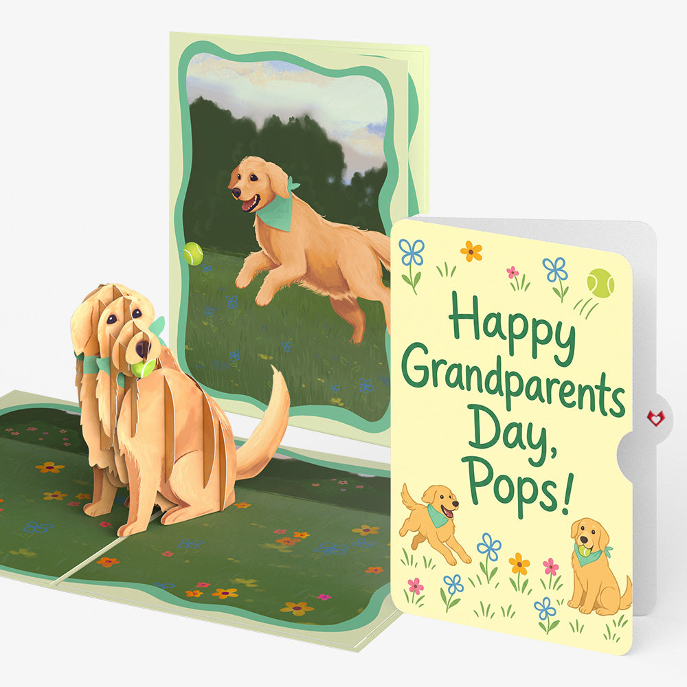 Playful Golden Retriever Pop-Up Card and Grandparents Day Sentiment Set