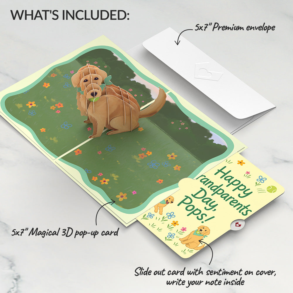 Playful Golden Retriever Pop-Up Card and Grandparents Day Sentiment Set