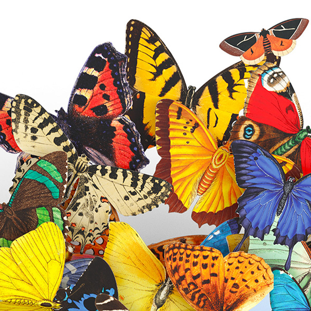Butterflies in Flight Pop-Up Card and Grandparents Day Sentiment Set