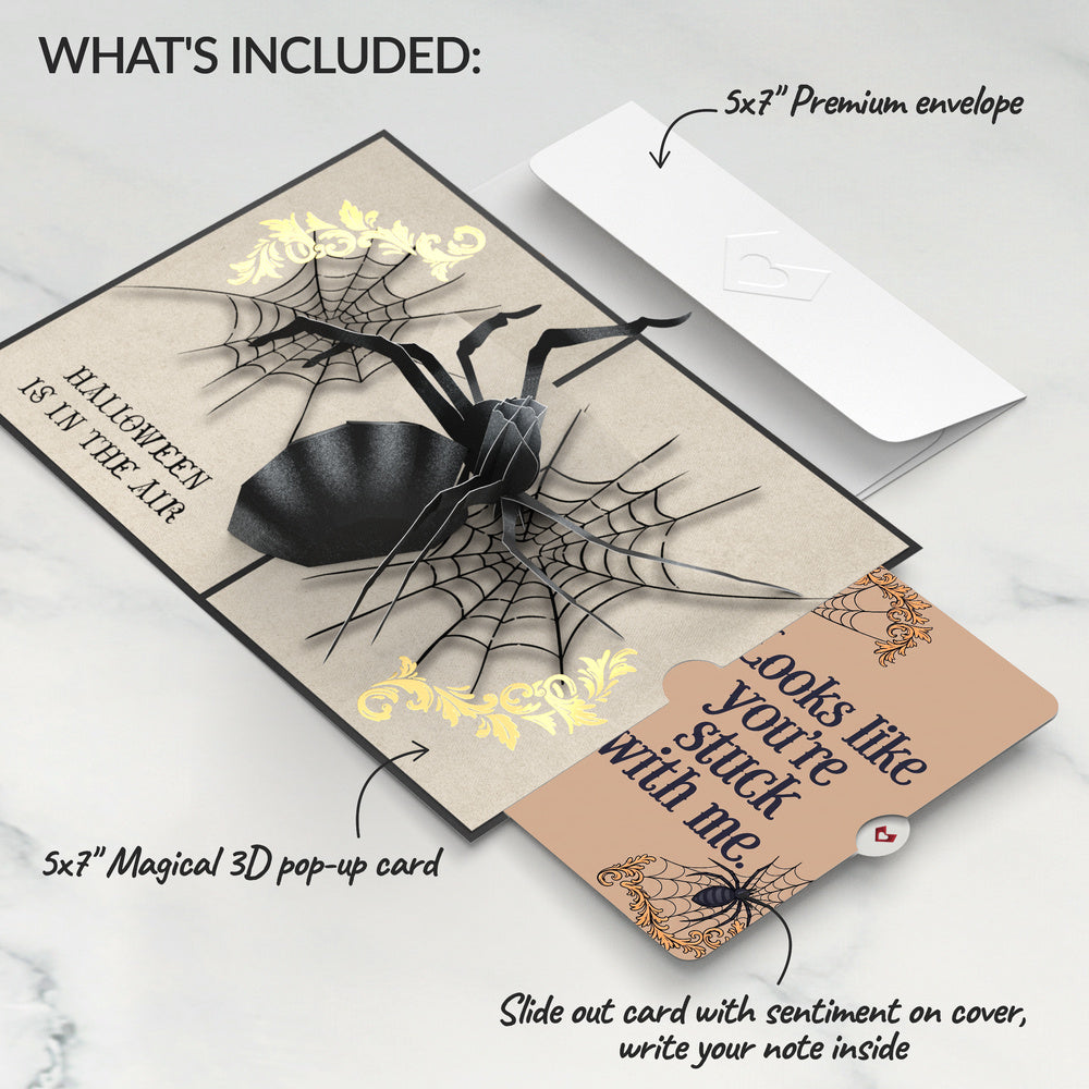 Beware Halloween Spider Pop-Up Card and Stuck With Me Sentiment Set