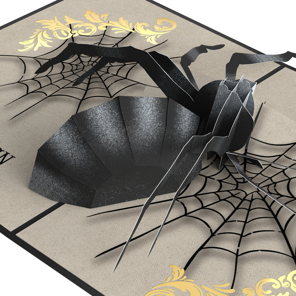 Beware Halloween Spider Pop-Up Card and Stuck With Me Sentiment Set