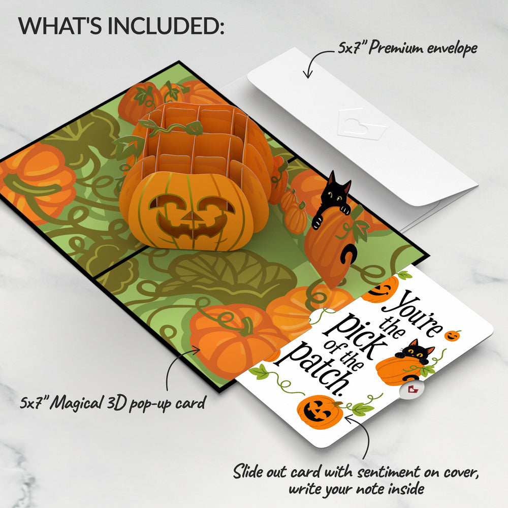 Happy Halloween Pumpkin Pop-Up Card and Pumpkin Patch Sentiment Set