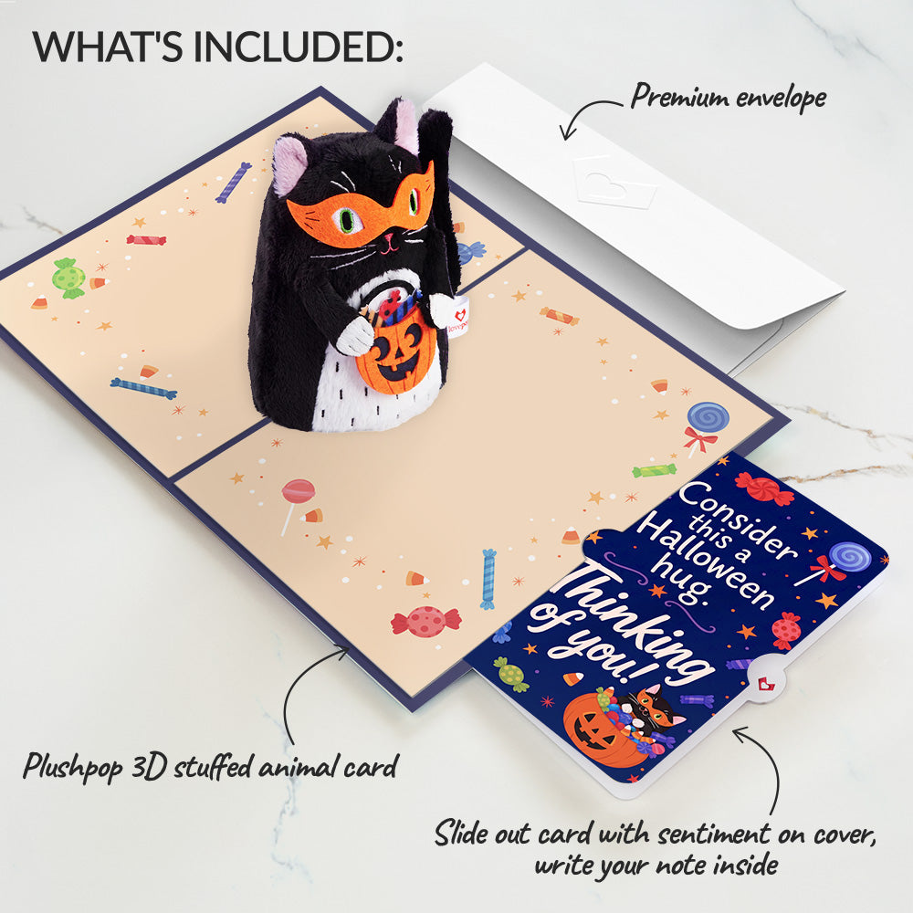 Halloween Cat Plushpop Card and Sending a Hug Sentiment Set