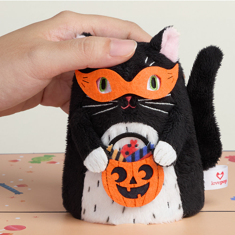 Halloween Cat Plushpop Card and Sending a Hug Sentiment Set