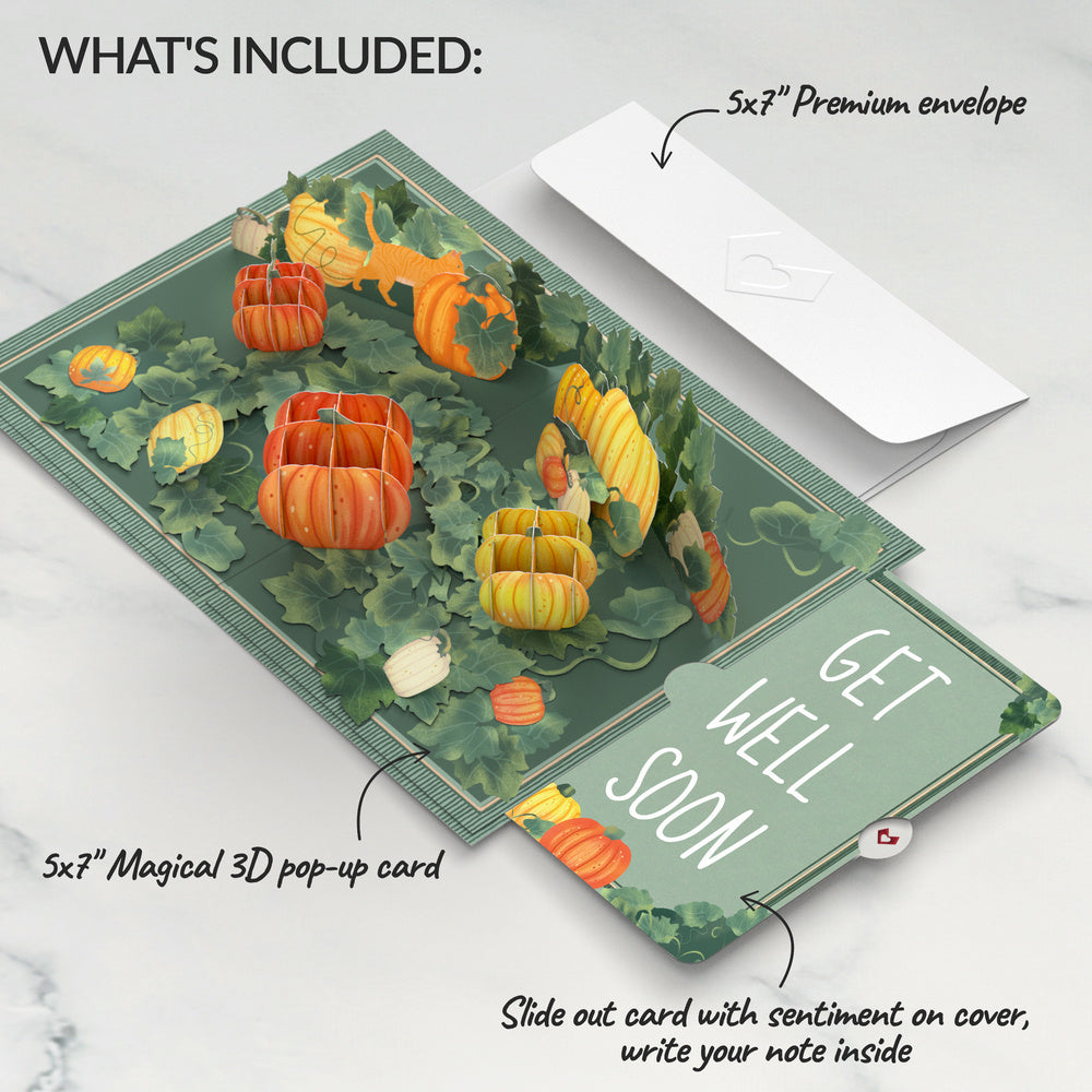 Happy Fall Pumpkin Patch Get Well Pop-Up Card and Sentiment Set
