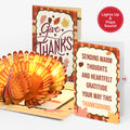 Give Thanks Turkey Music and Lights Pop-Up Card and Warm Thoughts Sentiment Set