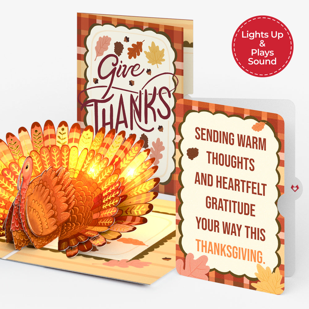 Give Thanks Turkey Music and Lights Pop-Up Card and Warm Thoughts Sentiment Set