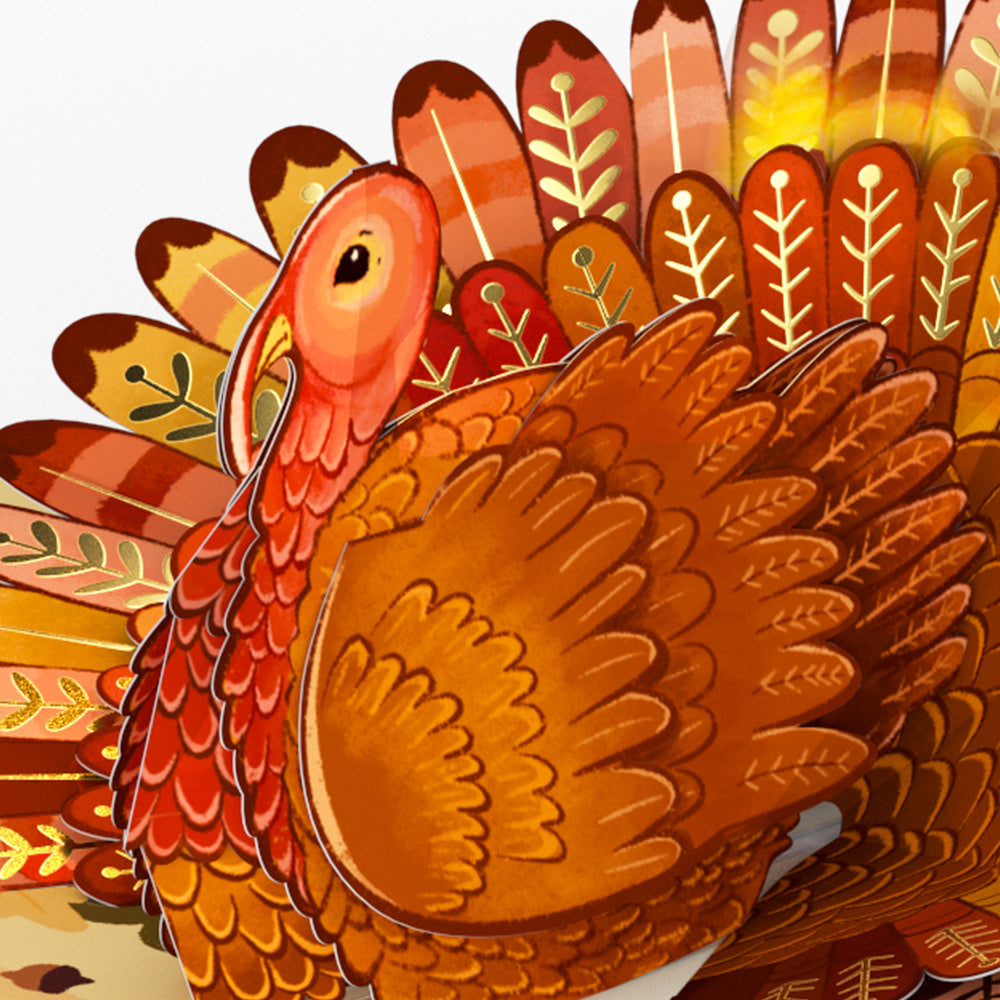 Give Thanks Turkey Music and Lights Pop-Up Card and Warm Thoughts Sentiment Set