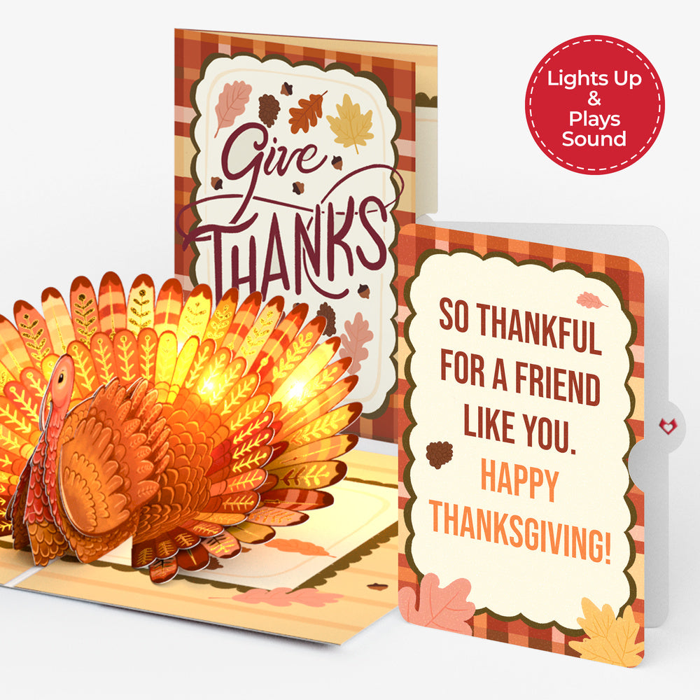 Give Thanks Turkey Music and Lights Pop-Up Card and Friend Like You Sentiment Set